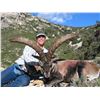 Image 2 : 4 Day Mountain Hunt in Spain for 1 Hunter