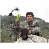 Image 3 : 4 Day Mountain Hunt in Spain for 1 Hunter
