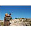 Image 4 : 4 Day Mountain Hunt in Spain for 1 Hunter