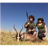 Image 1 : 6 Day Plains Game Hunt for 2 or 3 Hunters in South Africa