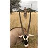 Image 2 : 6 Day Plains Game Hunt for 2 or 3 Hunters in South Africa