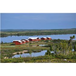 7-day Manitoba Lake Trout, Pike and Grayling Fishing Trip for One Angler