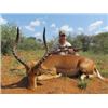 Image 1 : 10 Day Plains Game Hunt for 2 Hunters in South Africa.