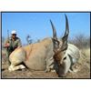Image 3 : 10 Day Plains Game Hunt for 2 Hunters in South Africa.
