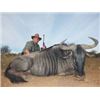 Image 5 : 10 Day Plains Game Hunt for 2 Hunters in South Africa.