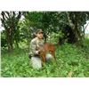 Image 2 : 7 Days Mexican Campeche Jungle Hunt for Three Species for 2 Hunters