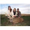 Image 3 : 5 Star Ohio Whitetail Deer Hunt for 2 Hunters