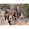 Image 1 : Desert Sheep Hunt with Coues Outfitters