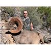 Image 4 : Desert Sheep Hunt with Coues Outfitters