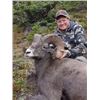 Image 1 : Bighorn Sheep Hunt with Total Outdoor Adventures, Ltd (TOA)
