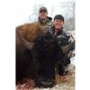 Image 1 : Montana Management Bison Hunt with Steve Killorn of Buffalo Wallow Ranch