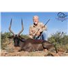 Image 2 : South Africa Hunt with TAM Safaris with Hunters Choice of Golden Wildebeast or Black Impala