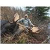 Image 1 : All Inclusive BC Canadian Moose Hunt with Total Outdoor Adventures