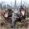 Image 2 : All Inclusive BC Canadian Moose Hunt with Total Outdoor Adventures