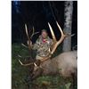 Image 1 : 5 day archery elk hunt for one hunter with Lone Wolf Guide Service