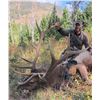 Image 2 : 5 day archery elk hunt for one hunter with Lone Wolf Guide Service