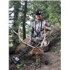 Image 3 : 5 day archery elk hunt for one hunter with Lone Wolf Guide Service