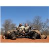 Image 9 : 10 day South African Safari with Phillip Bronkhorst Safaris  for 2 hunters 7 days hunting on 2x1 bas