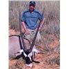 Image 5 : DE DUINE SAFARIS , SOUTH AFRICA  Hunt with 2 GEMSBUCK , 2 BLUE WB , 2 BLESBUCK , 2 STEINBUCK