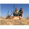 Image 6 : DE DUINE SAFARIS , SOUTH AFRICA  Hunt with 2 GEMSBUCK , 2 BLUE WB , 2 BLESBUCK , 2 STEINBUCK