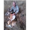 Image 7 : DE DUINE SAFARIS , SOUTH AFRICA  Hunt with 2 GEMSBUCK , 2 BLUE WB , 2 BLESBUCK , 2 STEINBUCK