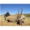 Image 3 : Seven Day South African Spiral Horn Hunt  for Two  Hunters