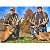 Image 2 : Three Day Indiana Monster Whitetail Estate Hunt for One Hunter and One Observer