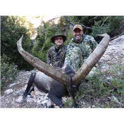 Four Day Spanish Big Game Mountain Hunt for One Hunter and One Observer