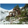 Image 4 : Four Day Spanish Big Game Mountain Hunt for One Hunter and One Observer