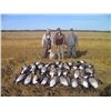 Image 3 : Three Day Goose and Duck Hunt in Canada for One Hunter