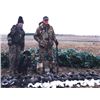 Image 4 : Three Day Goose and Duck Hunt in Canada for One Hunter