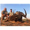Image 3 : Six Day South African Plains Game Safari for Two Hunters