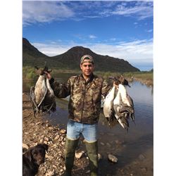 Dove and Duck hunt in Mexico for Two Hunters