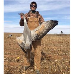 Sandhill Crane Hunt in Texas for Two Hunters