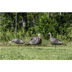 Hunter's Specialties- Strut Lite Turkey Decoys -   flock 3pk