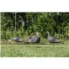 Image 1 : Hunter's Specialties- Strut Lite Turkey Decoys -   flock 3pk