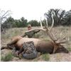 Image 3 : Three Day New Mexico Cow Elk Hunt for One Hunter