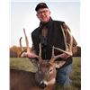 Image 2 : Four Day Michigan Silver Medal Whitetail Hunt for One Hunter