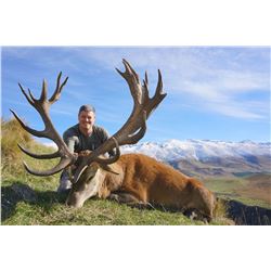 Five Day New Zealand Red Stag Hunt for One Hunter and One Observer