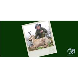 3 day Cantabrian Chamois Hunt for One Hunter