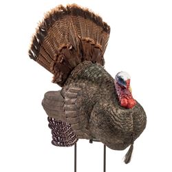 Bass Pro Turkey Package