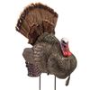Image 1 : Bass Pro Turkey Package