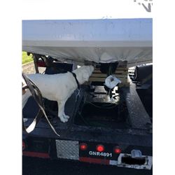 DETECTION CANINE HANDLER FOR THE DAY!