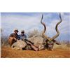 Image 1 : Kudu Hunt, Tiger Fishing Trip and Mount for 2 Hunters with Hawk-Eye Safaris