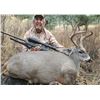 Image 1 : Arizona Coues Deer Hunt with  Bobby Boido of Coues Outfitters