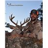 Image 5 : Arizona Coues Deer Hunt with  Bobby Boido of Coues Outfitters