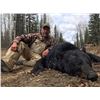 Image 4 : Canada Spring Bear & Wolf - Spot & Stalk with High 5 Outfitters