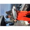 Image 5 : Alaska fishing Charter with Island View Charters