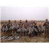Image 2 : Texas Sandhill Crane for Two Hunters