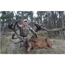New Zealand Red Stag for 2 with Poronui Hunting